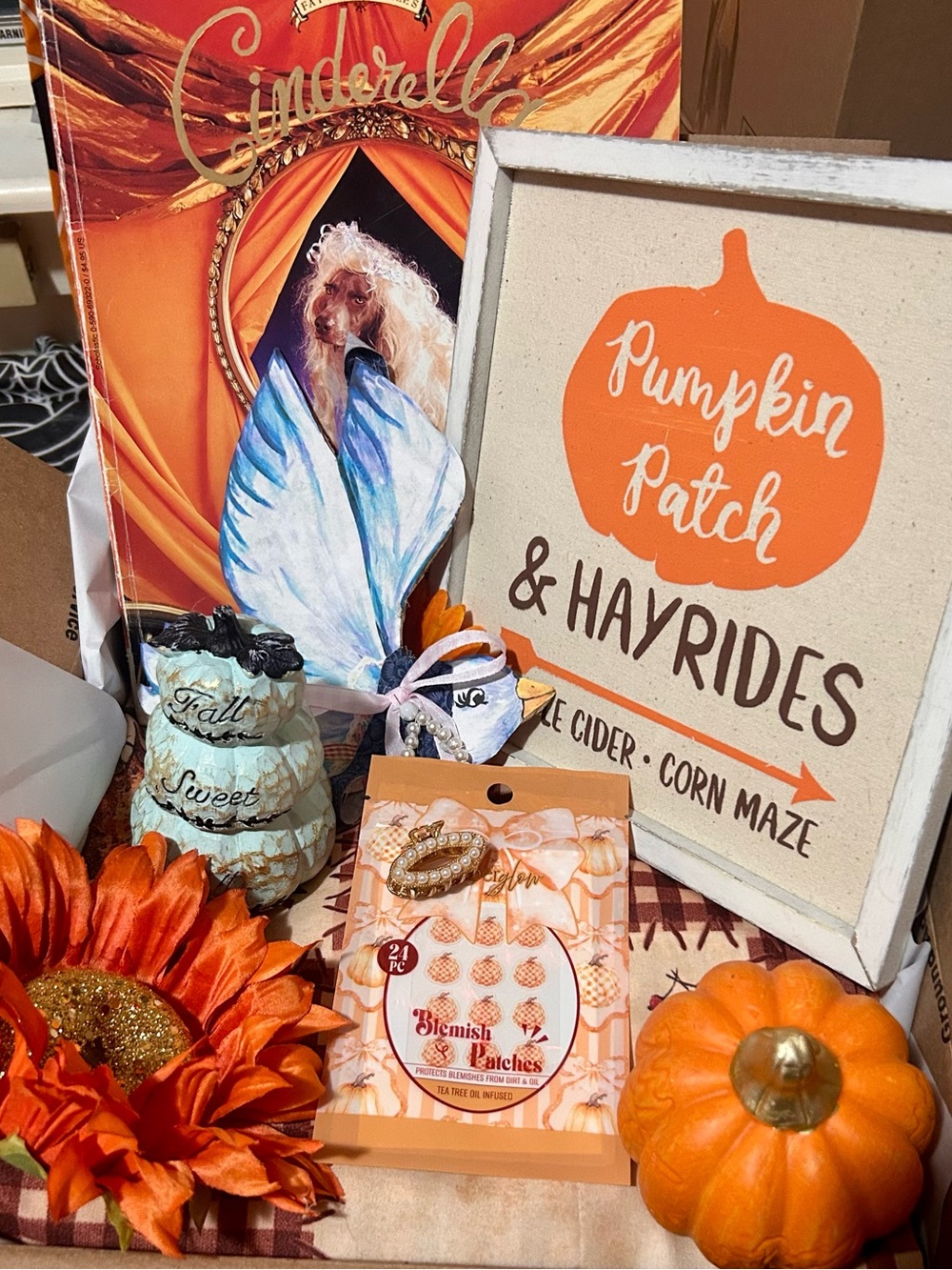 Cinderella’s Fall Cottage Bundle
